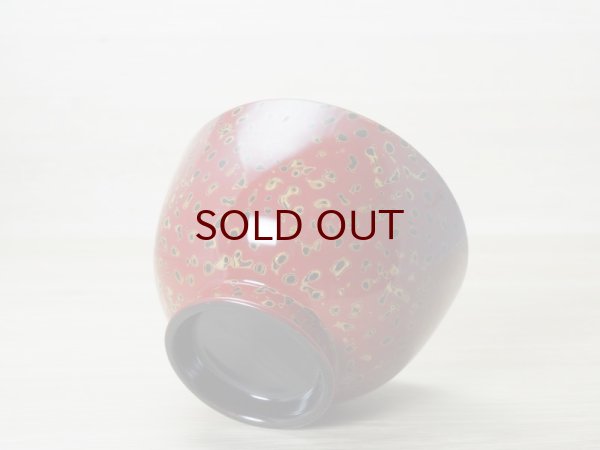 画像4: 唐塗　京型　赤上（白金） (4)