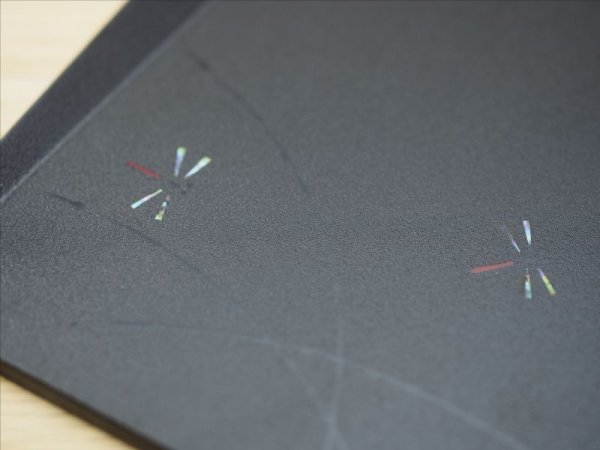 画像4: 紋紗塗 多様皿 トンボとススキ柄 (4)