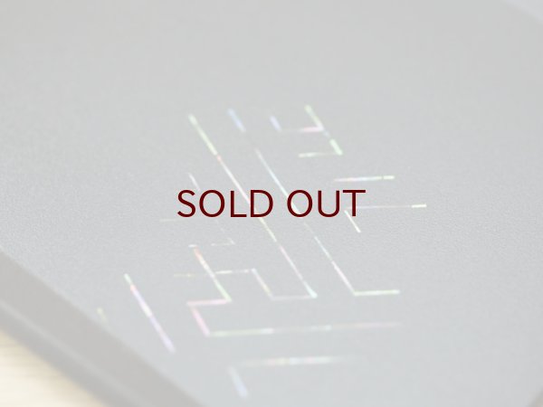 画像5: 紋紗塗 多様皿 紗綾形 (5)